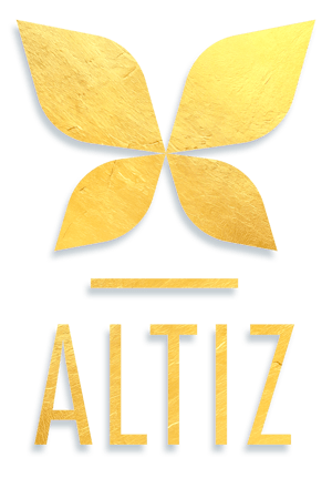 Altiz Conseil Logo